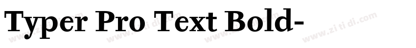 Typer Pro Text Bold字体转换
